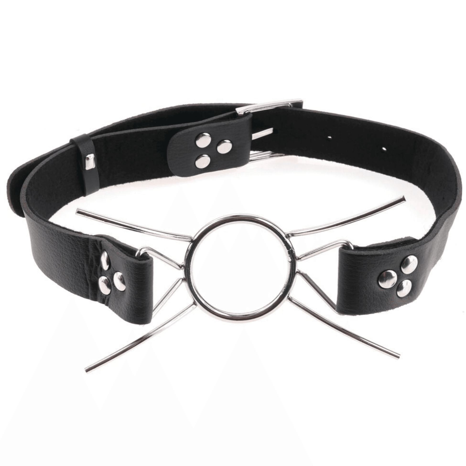 Pipedream Fetish Fantasy Extreme Spider Gag O-Ring Ağızlık