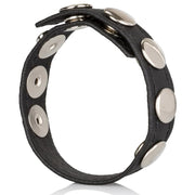 Calexotics Leather Multi-Snap Ring Deri Penis Halkası